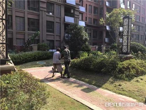 碧桂园物业爆料最新消息